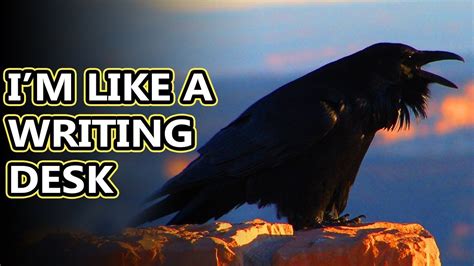 Raven facts: are they just big crows? Animal Fact Files