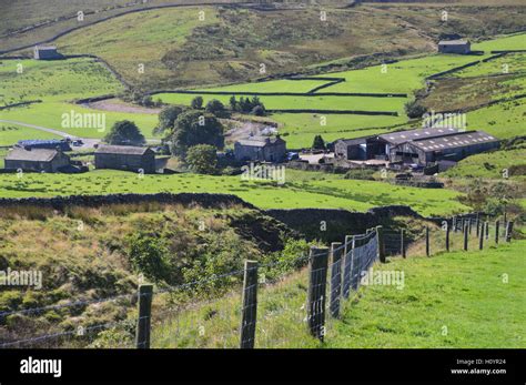 Ravenseat & Whitsun Dale Guided Walk — Keld Resource Centre