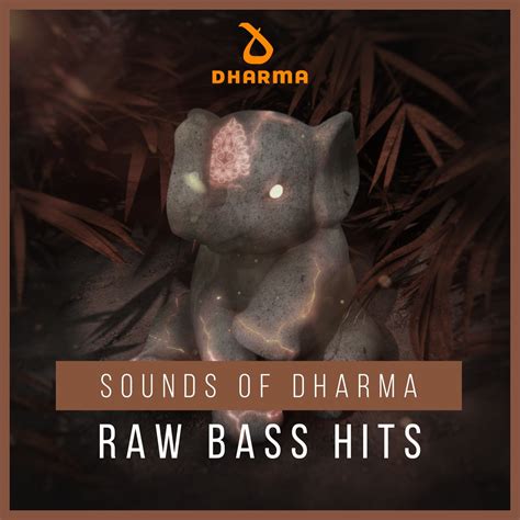 Raw Bass Hits - Dharma Studio