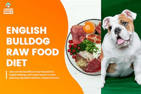 Raw Food Diet For English Bulldog Puppy