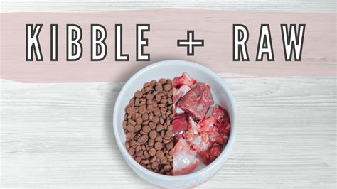Raw and kibble. Initially, you should mix your dog’s kibble – or canned food – when transitioning to a raw food diet. Just switching from commercial to raw meals without that interim period invites gastrointestinal upset. Raw food is more expensive than dry food. Some dog owners may want to feed raw only but find it isn’t in their budget. 