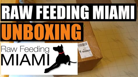 Raw feeding miami. Things To Know About Raw feeding miami. 