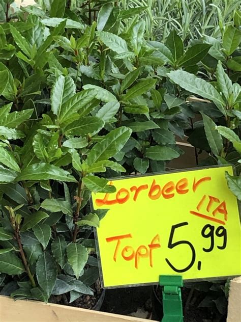 Raweggeddy Leaks PORN 🍆