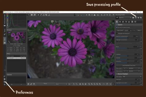 Rawtherapee dcraw.  Note that some ICC raw converters do additional processing than ...