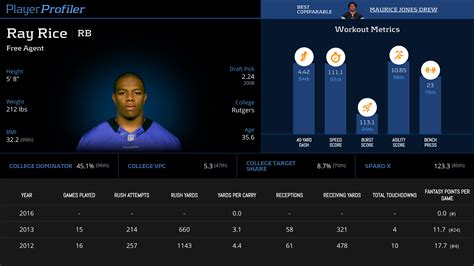 Ray rice stats