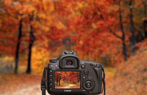 Raymond Herbst - Producer Cameraman - Autumn Aperture / …