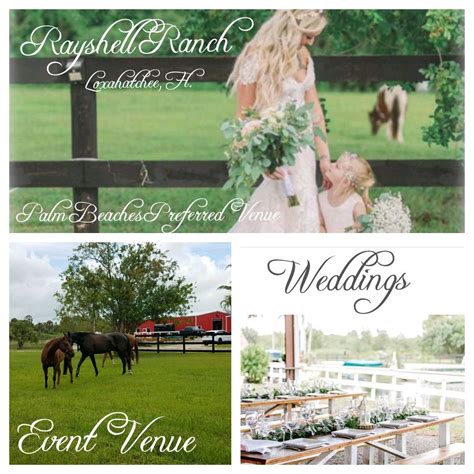 Rayshell ranch equestrian.  Set up & access Descript Install the desktop app, l...