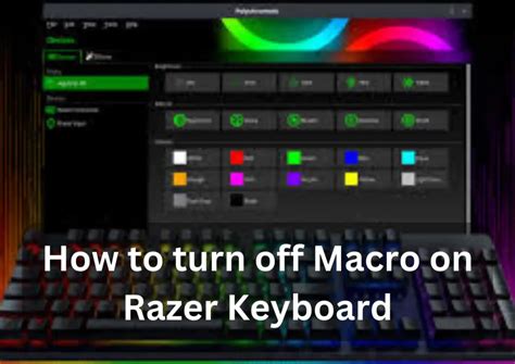 Razer Keyboard Macro Guide