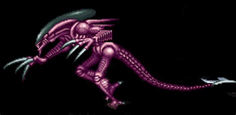 Razor Claws Xenomorph Species Wiki Fandom