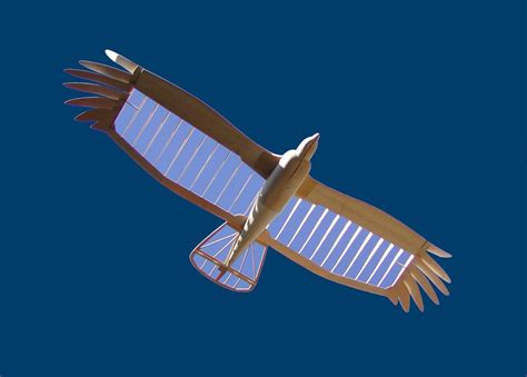 Rc bird glider. .  <a href=https://rateshop.abglac.com/assets/images/n9ulhd/index.p...