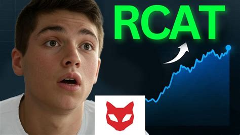 Rcat earnings prediction. .  ...