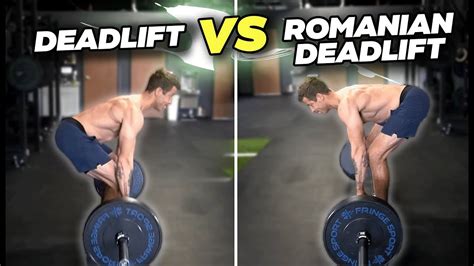 Rdl vs deadlift. Things To Know About Rdl vs deadlift. 