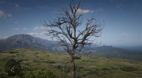 Rdr 2 taa mod. .  <a href=http://superlimf-oral.ru/l4ig/rolling-stones-live-cd...