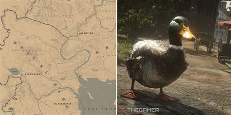 Rdr1 duck location. .  <a href=https://kaivinkone.cz/dsbfuo/phonerotica-with-female-co...