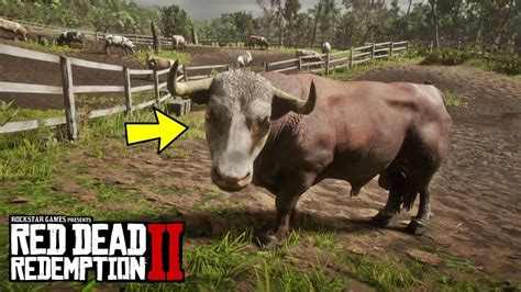 Rdr2 animal fat. 6. Enable the "Enable old animal controls" option via Lenny's Simple Trainer. 6. Use any trainer to change to any animal that can attack (e.g. Cougar). 7. Approach any NPC and press the F key or the left mouse button. Also, you need to be walking or running in order to attack; you cannot attack while standing still. 