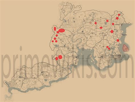 Rdr2 black bear locations map. .  ...