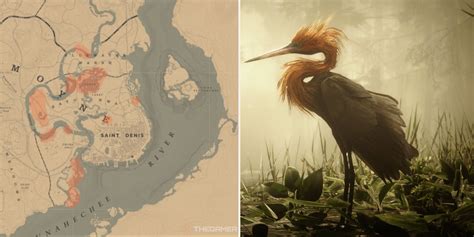 Rdr2 egrets location. Things To Know About Rdr2 egrets location. 