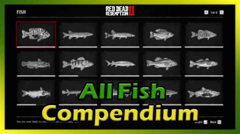 Rdr2 fish compendium. Forums. Red Dead Redemption 2. Survivalist Rank 10. Currently doing survivalist rank 10 where you have to catch all 15 different types of fish, was wandering if anyone has a list of the fish or locations for them to save me some time. I couldn't seem to find any info online about it. 