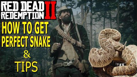 Rdr2 how to get perfect snake skin. 1 x Perfect Wolf Carcass; Snake Skin Banjo Head. 2 x Perfect Snake Skins; Campfire Seat Cover. 1 x Perfect Beaver Pelt, 1 x Perfect Muskrat Pelt, 1 x Perfect Fox Pelt; Campfire Log Seat Cover. 2 x Perfect Wolf Pelts; Lean-to Cow Hide Ground Cover. 1 x Perfect Cow Hide; Scout Fire Ground Cover. 2 x Perfect Goat Hides; Elk Antlers. 1 x Elk Antler ... 