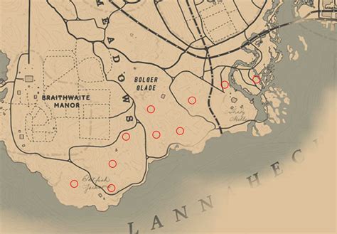 Rdr2 night scented orchid location. 7 Cigar Orchids (Location below) 5 Ghost Orchids (Location below) Exotic Request # 4. In this Exotic Request, you are required to get the following items: 30 Spoonbill Plumes; 5 Night Scented Orchids (Location below) 10 Rat Tail Orchids (Location below) 5 Spider’s Orchids (Location below) Exotic Request # 5. In this … 