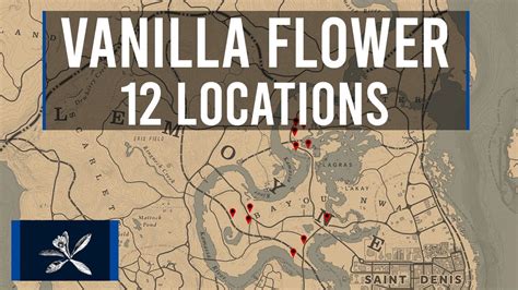 Rdr2 online vanilla flower locations. Where's the #BloodFlower? (NIGHT ONLY 10PM - 5 AM) Complete Your American Wild Flowers Set for #MadamNazar with this #Collector Farming Route Guide to locat... 