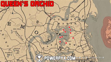 Rdr2 queen orchid. Queen's Orchid - Location Guide | Red Dead Redemption 2Queen's Orchid - Location Guide | Red Dead Redemption 2 are the collectibles part of Duchess and oth... 