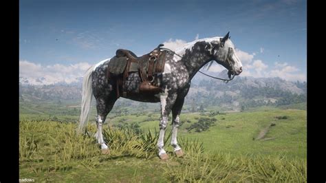 Rdr2 silver dapple pinto. The Silver Dapple Pinto can be purchased from the Blackwater Stable starting in the Epilogue: Part I while Amber Champagne can be purchased from the Scarlett Meadows Stable in Chapter 4. This breed is one of the best horse breeds in the entire game, combining top end speed and high stamina. 