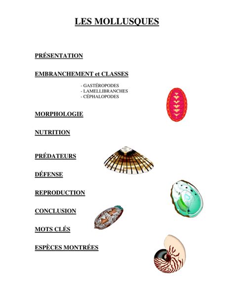 Révision des mollusques lamellibranches du genre dosinia scopoli. - The baseball starter a handbook for coaching children and teens.
