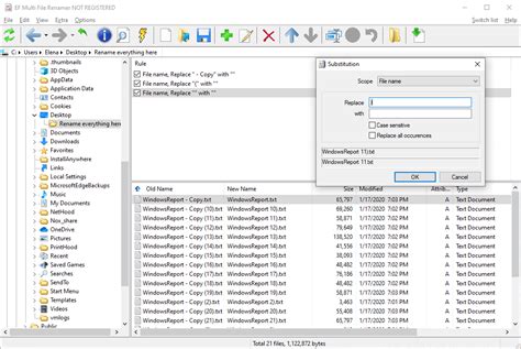 ReNamer for Windows