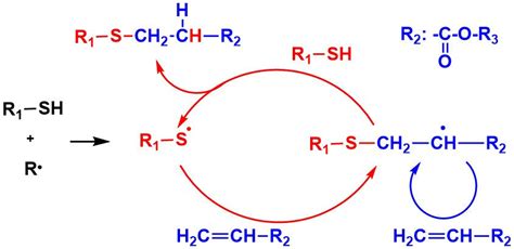 Reaction mechanism of thiol-acrylate system.