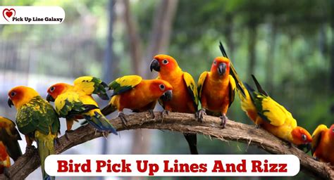 Read now 10+ bird pick up lines most prestigious