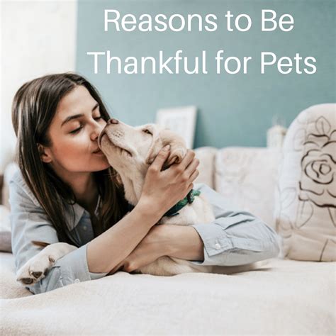 Readers share why they are thankful for their pets — and why their pets are thankful for them
