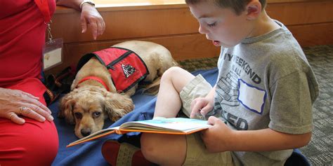 Reading Education Assistance Dogs Help Problem Readers Improve AARP 