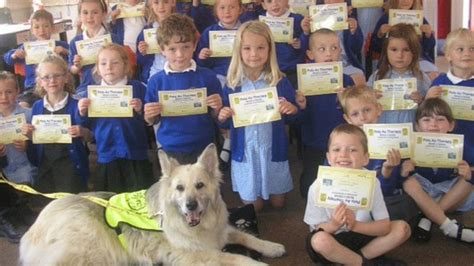 Reading to Amber the dog