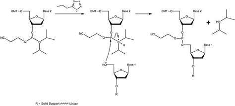 Reagents for Oligonucleotide Synthesis - Sigma-Aldrich