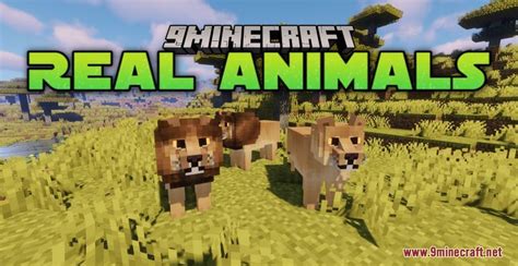 Real Animals Resource Pack (1.19.3, 1.18.2) – Texture Pack - 9Minecraft