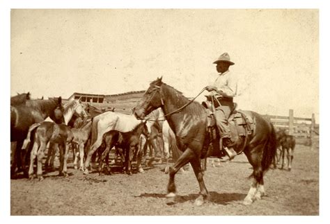 Real Cowboys on the Chisholm Trail: Larkin Patrick Williams