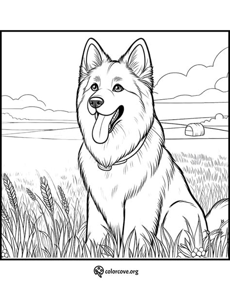 How Do I Publish A Coloring Book