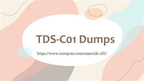 Real TDS-C01 Dumps