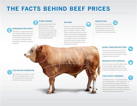 Real World Economics: Beefing about beef prices? Look down the food chain