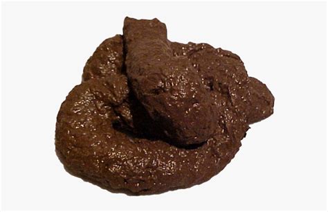 Real poop. The most common reasons for a pale stool color include: 1. Foods. Some foods, such as fatty foods, may cause stool color to become yellow. The occasional pale bowel movement is unlikely to be a ... 