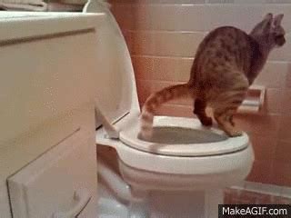 Real poop gif. Explore and share the best Poop GIFs and most popular animated GIFs here on GIPHY. Find Funny GIFs, Cute GIFs, Reaction GIFs and more. 