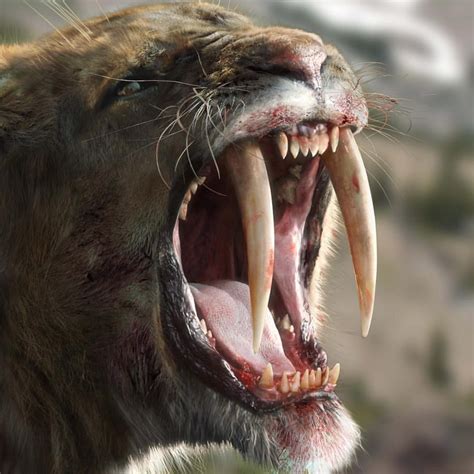 An ancient resident of California, the saber-toothed cat is easily recognizable by its long canine teeth, which averaged eight inches in length!. 