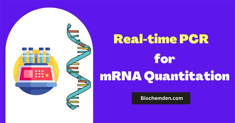 Real-time PCR for mRNA quantitation - PubMed