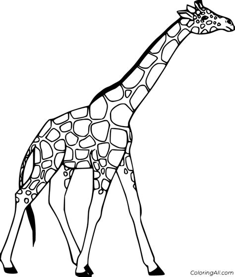 Coloring Pages Cute Things