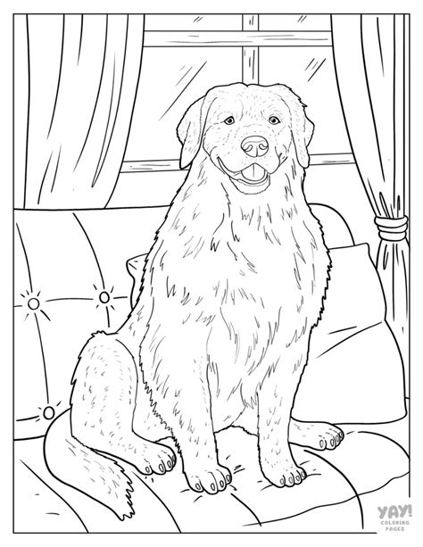 Printable Puppy Coloring Pictures
