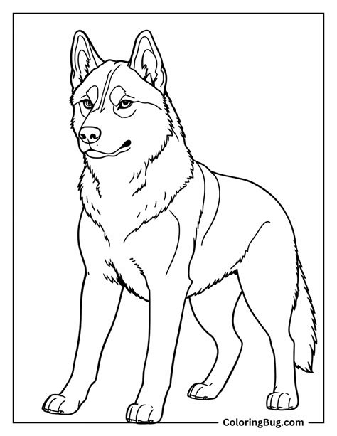 Barbie And The Nutcracker Coloring Pages