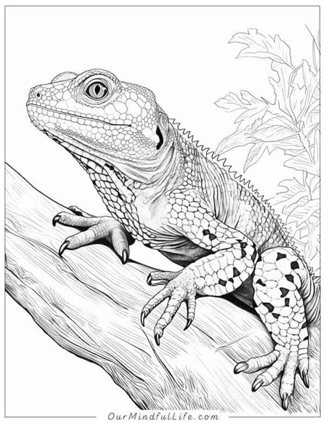 Box Of Crayons Coloring Page