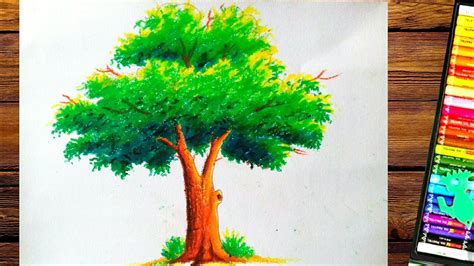 Realistic Tree Drawing With Color