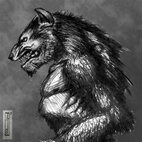 Realistic Werewolf Drawing